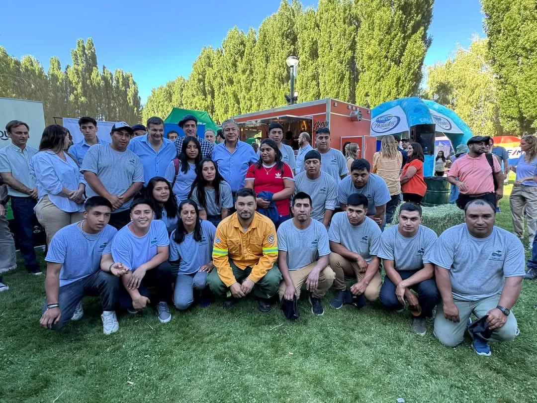 Imagen de WhatsApp 2025-01-29 a las 15.55.10_fccde054