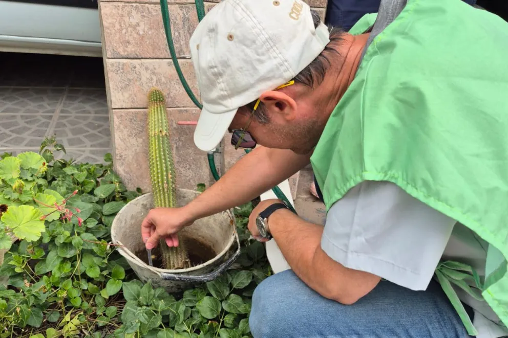 md - 2026-01-23T100016.836