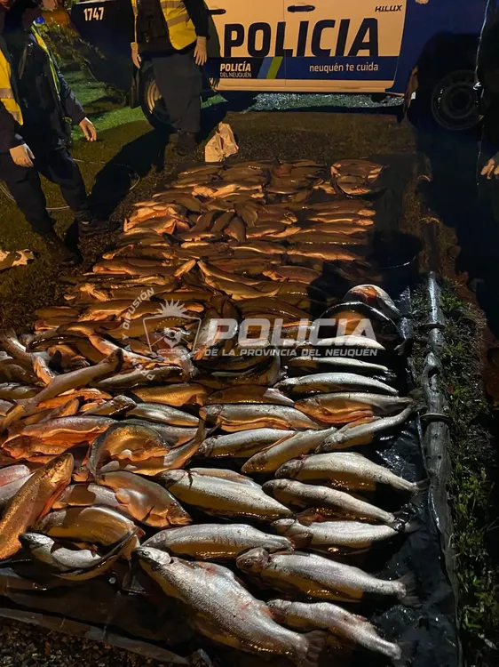 585348606_1279157487576152_7572640697474185738_n