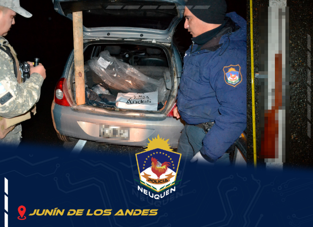 Captura de pantalla 2024-06-18 091023