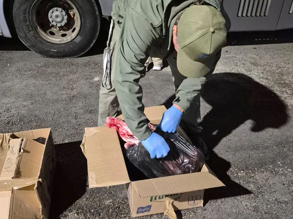 md - 2025-12-19T093525.138