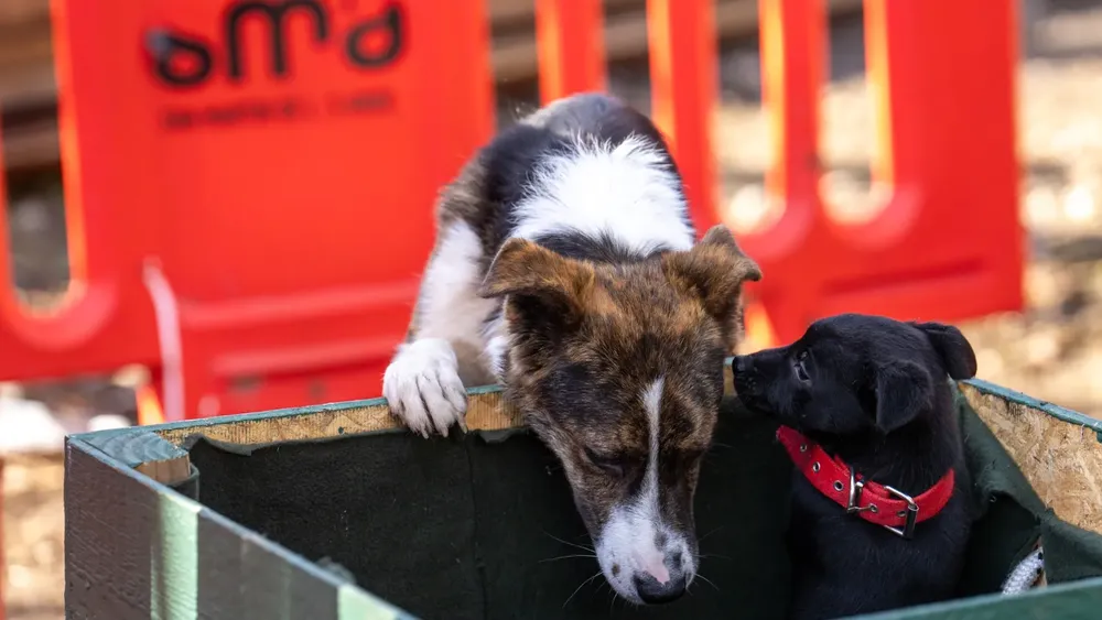 haceme un lugar en la caja
