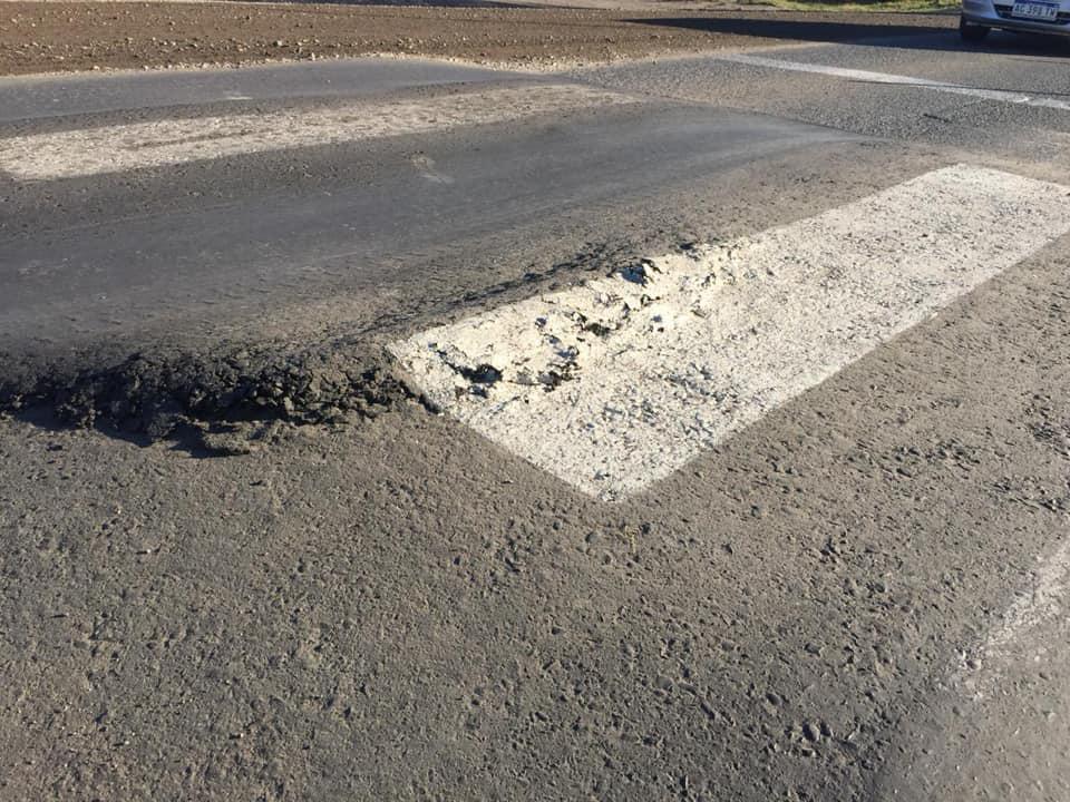 bache provincia
