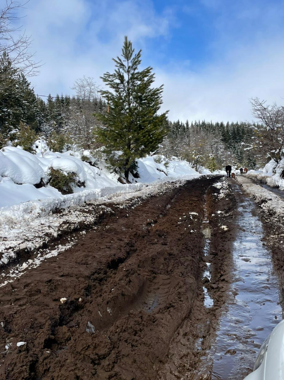 Ruta 19 Puente Blanco 4