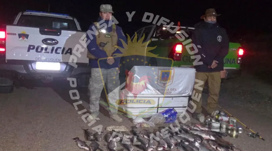 Captura de pantalla 2025-05-04 141107