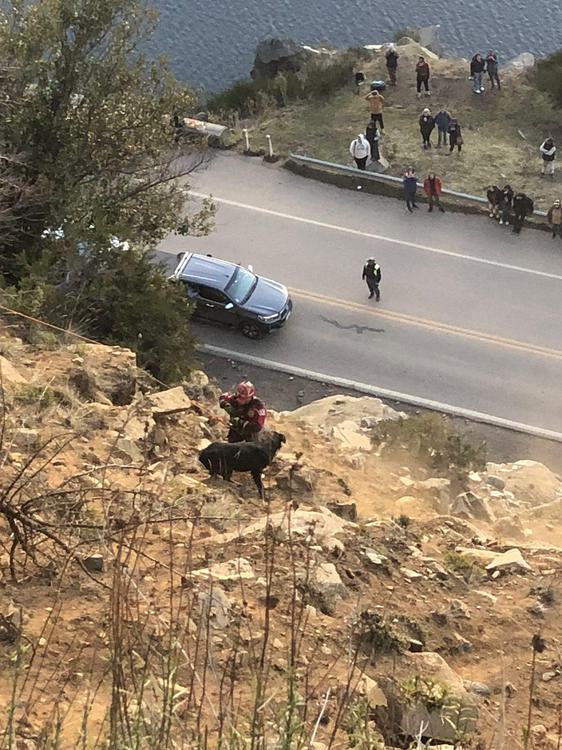 Imagen de WhatsApp 2024-07-29 a las 12.28.36_3e879703