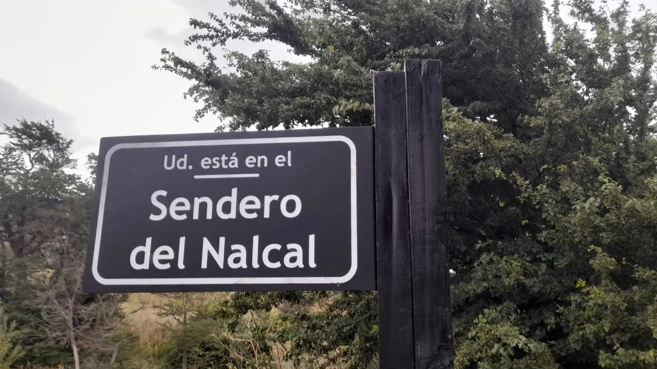 WhatsApp-Image-2026-02-02-at-7.15.21-PM-1