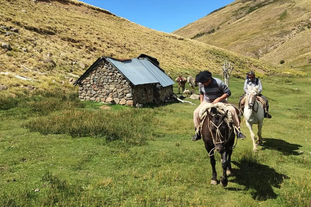 md - 2026-03-02T103133.156