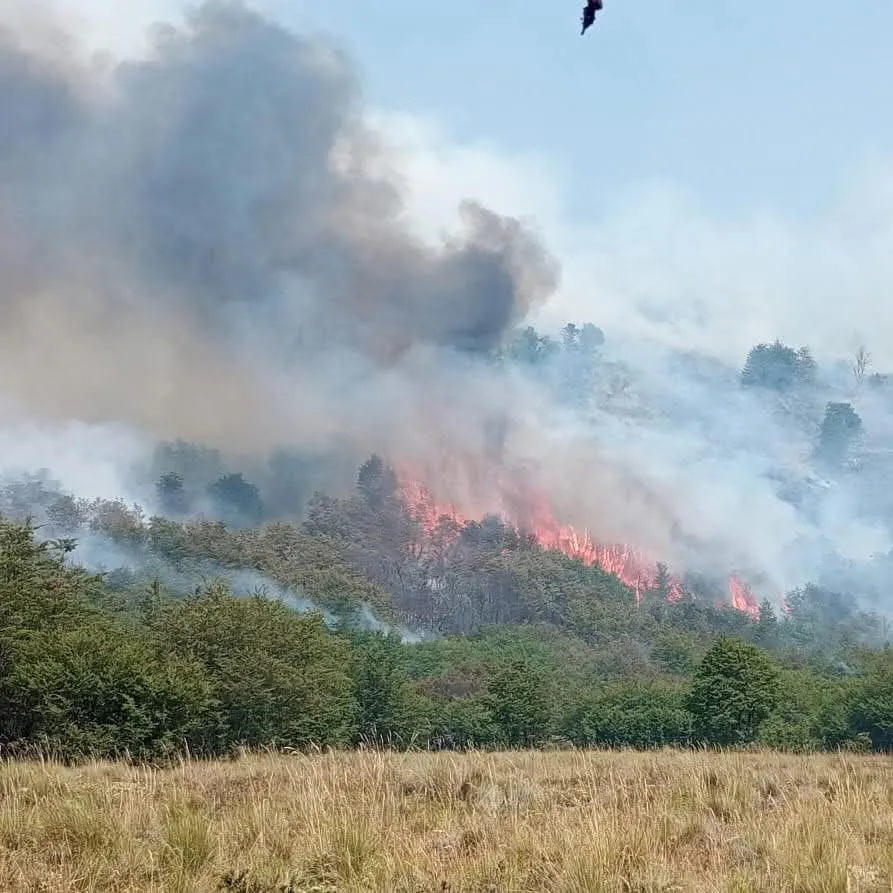 Imagen de WhatsApp 2025-02-09 a las 19.41.20_b14d86d9