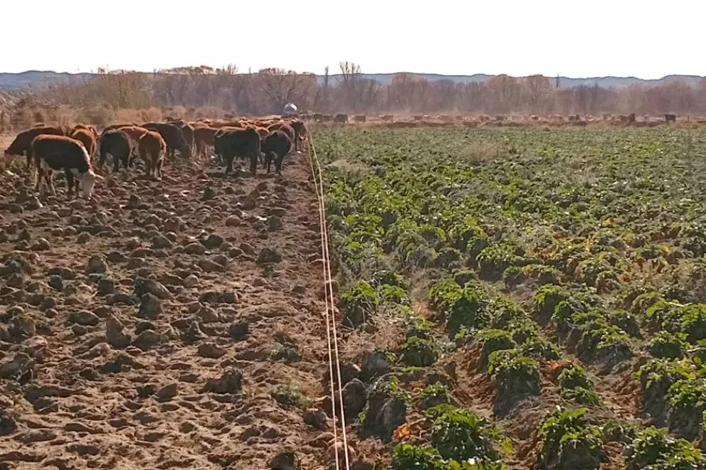 md - 2026-03-06T103556.424