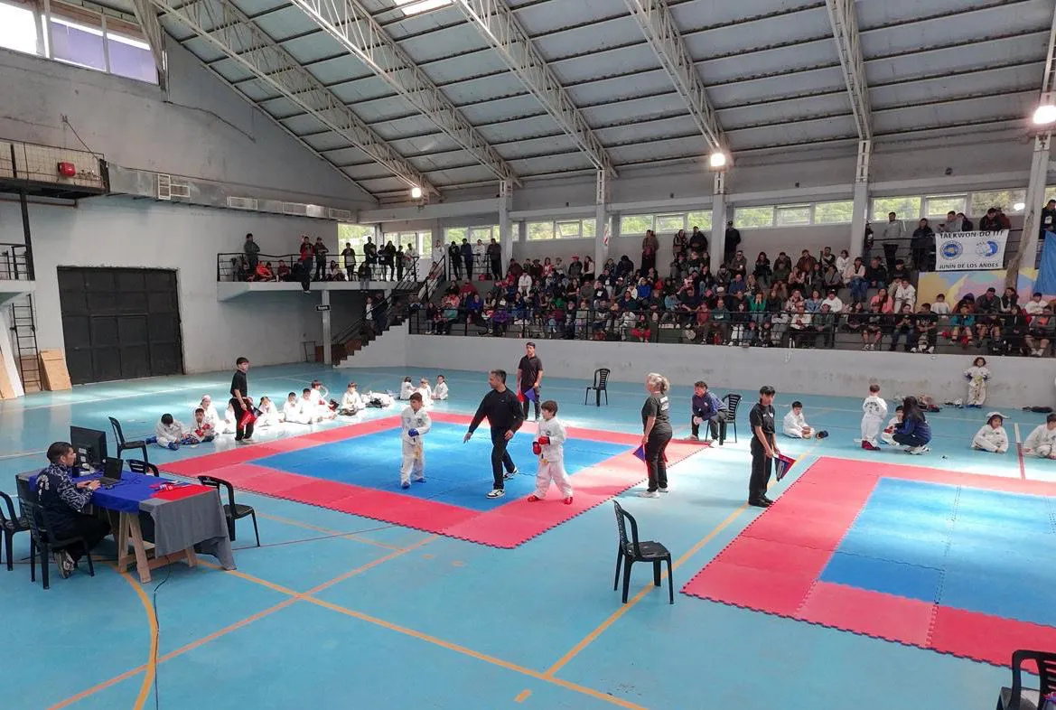 Imagen de WhatsApp 2025-11-12 a las 11.47.27_e00e2f88