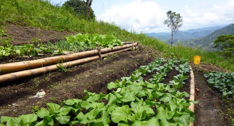 agroecologico