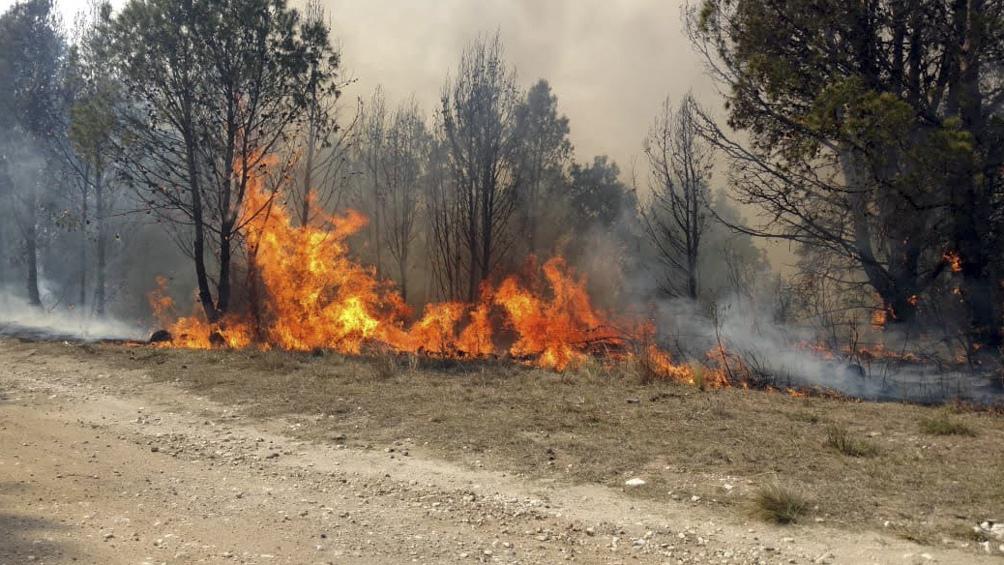 incendio parque nacional