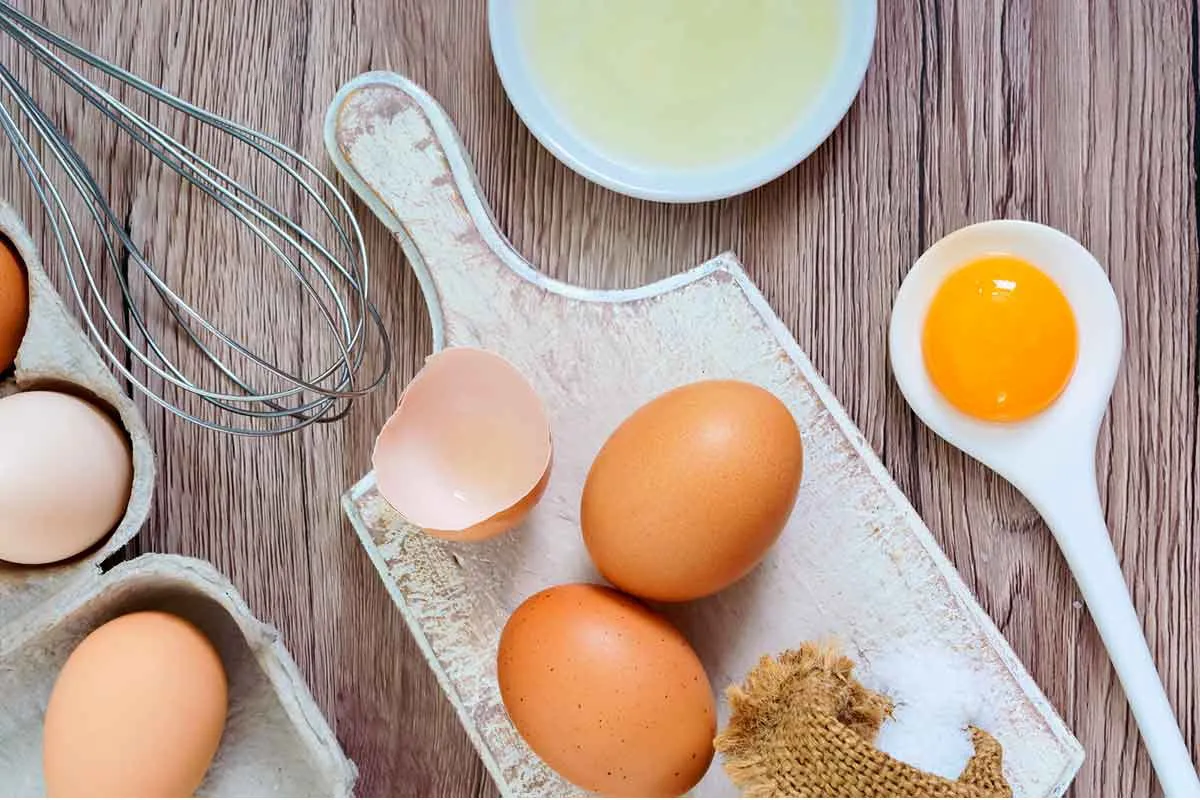 alimentos seguros 3
