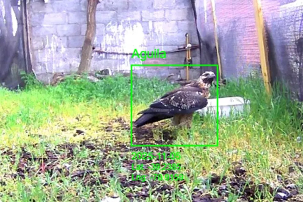 md - 2026-02-19T105203.828