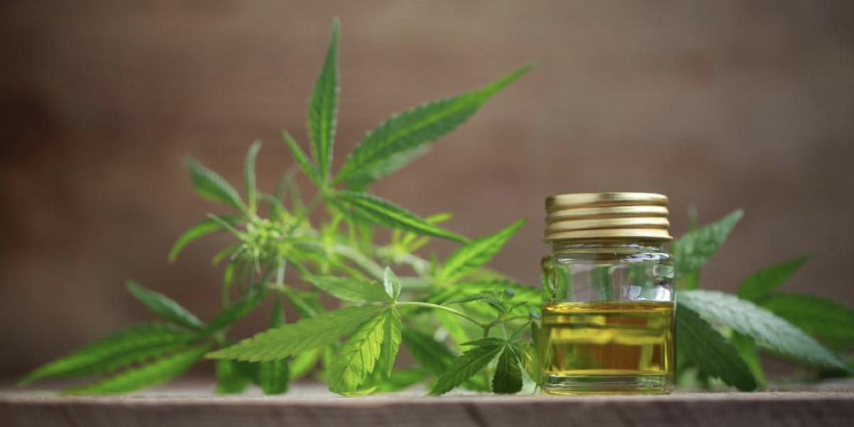 cannabis medicial1