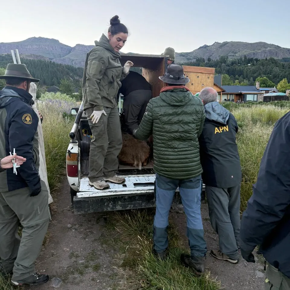 598056199_1162098442769303_1361140639215504788_n