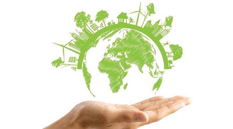 conciencia ambiental