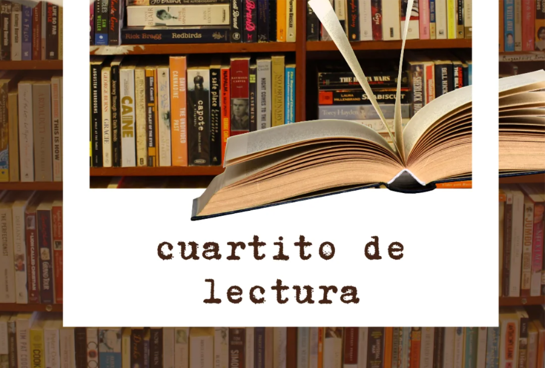 cuartito de lectura (2)