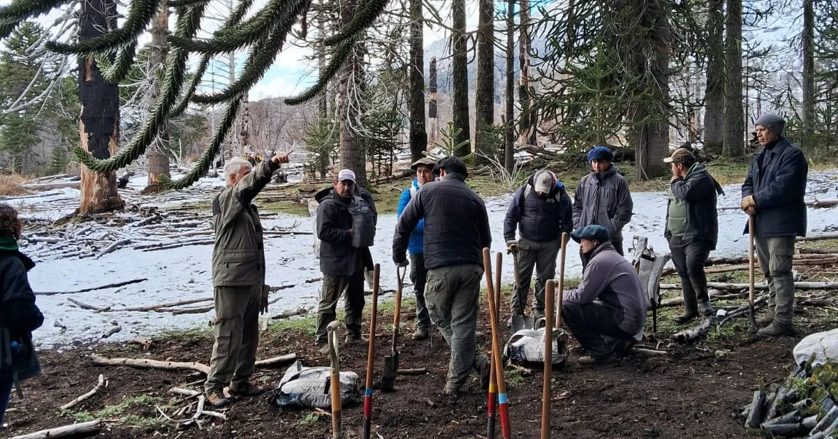 461945186_837627698549714_639078367125699357_n