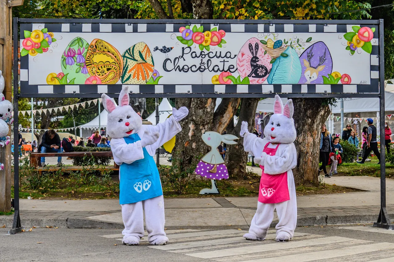 468782187_554408700539828_1054760436505560309_n