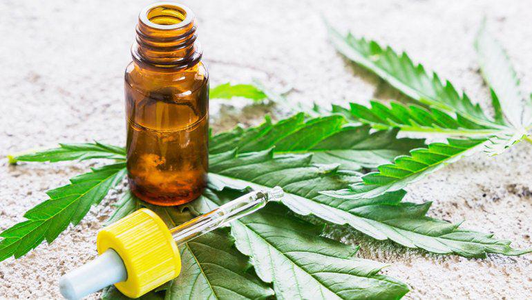 cannabis medicinal