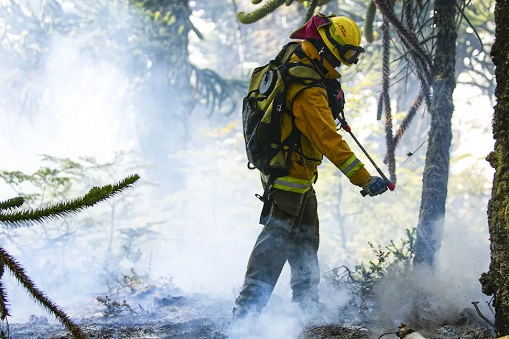 md - 2026-01-22T115327.656