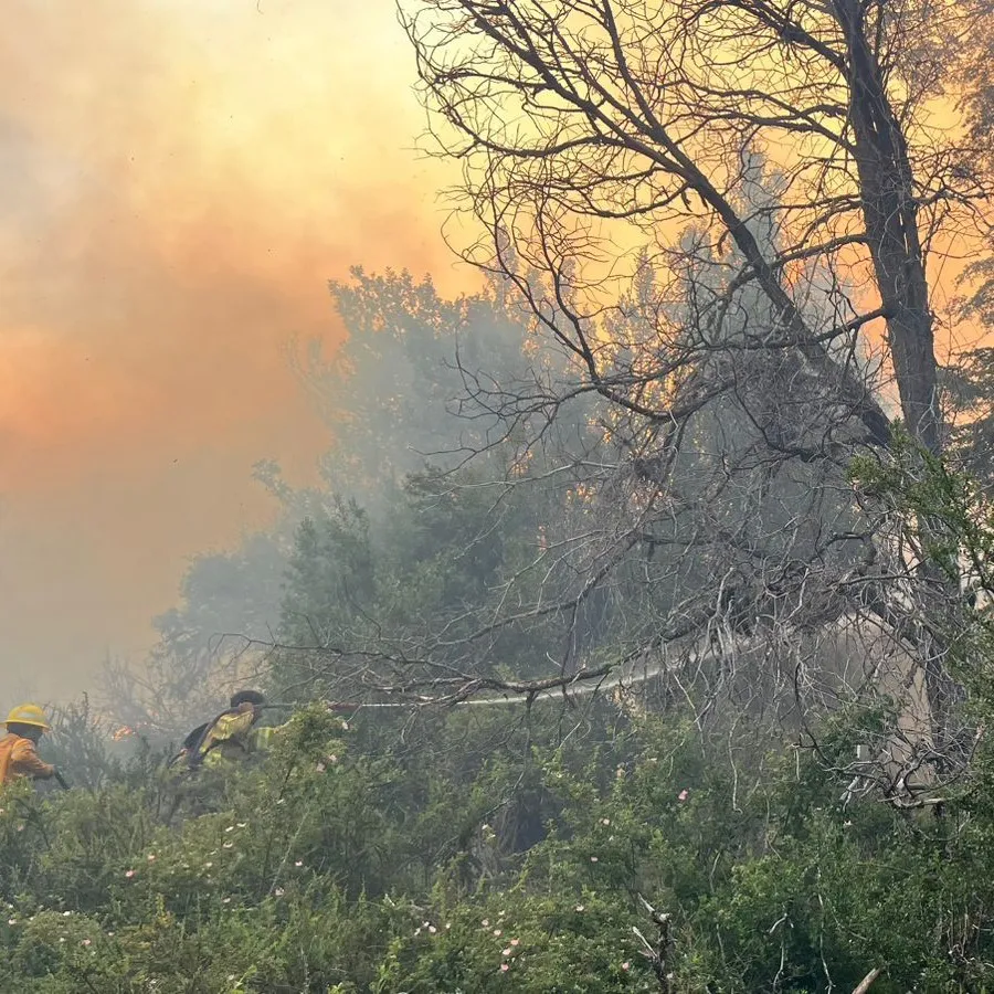 Imagen de WhatsApp 2025-01-07 a las 21.45.03_d327706b