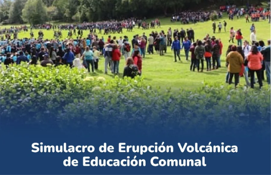 simulacro pucon