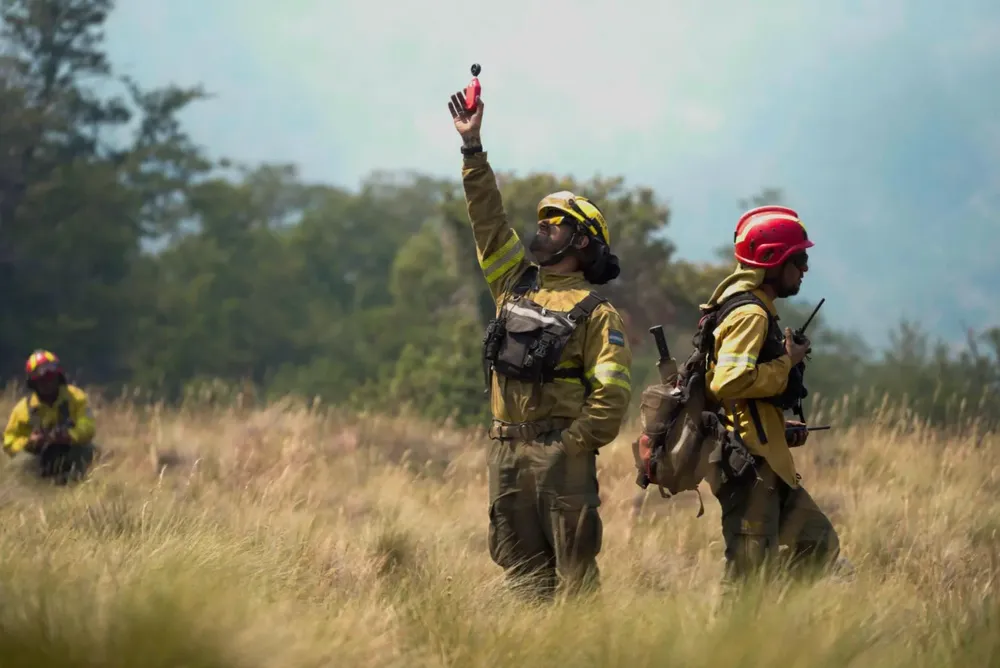 Imagen de WhatsApp 2025-02-03 a las 21.49.17_c44eb3c8