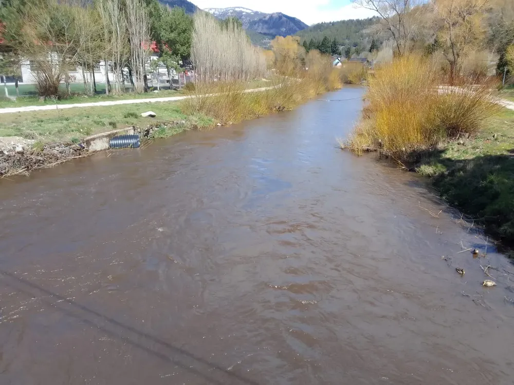 Imagen de WhatsApp 2024-10-03 a las 16.06.11_56e7bef5