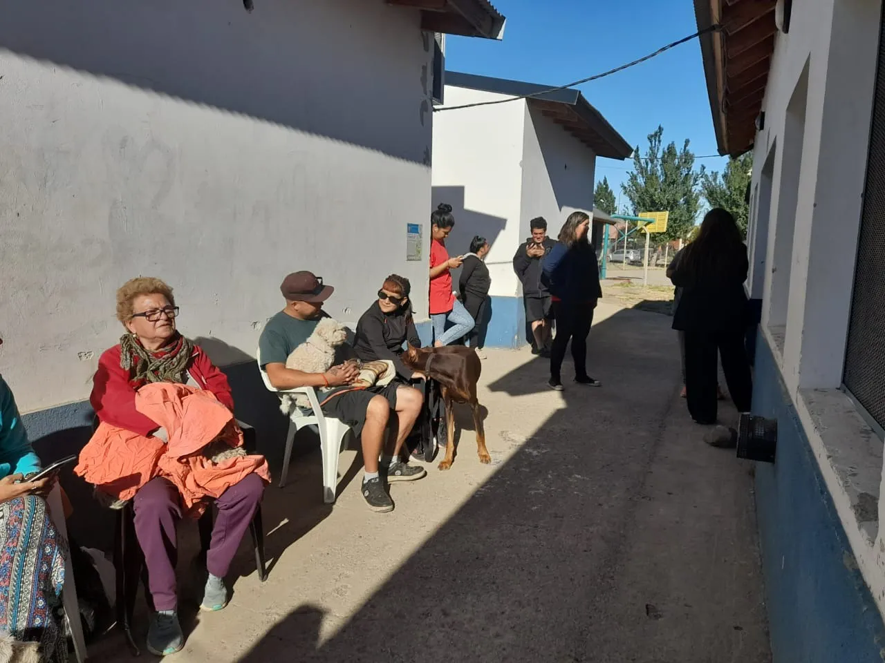 Imagen de WhatsApp 2025-02-25 a las 09.00.07_61941b5f