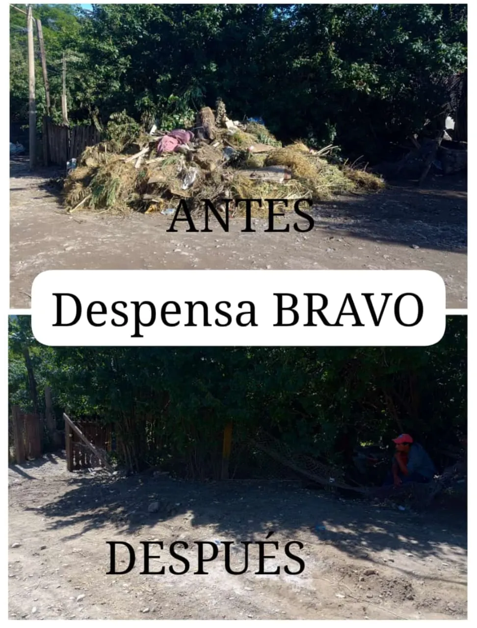 Imagen de WhatsApp 2024-12-19 a las 09.05.04_35f61454