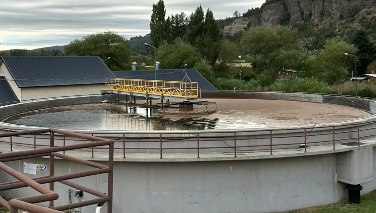 WhatsApp Image 2026-02-03 at 11.47