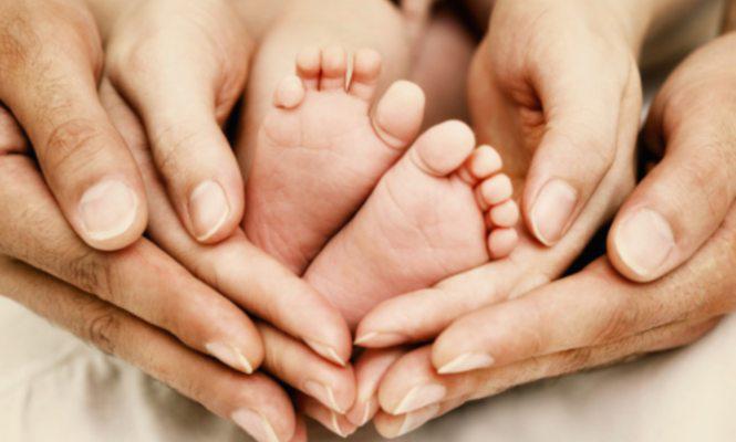 maternidad paternidad