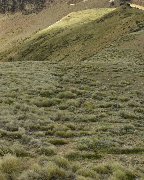 538877019_1073101751668973_7337564195610489200_n