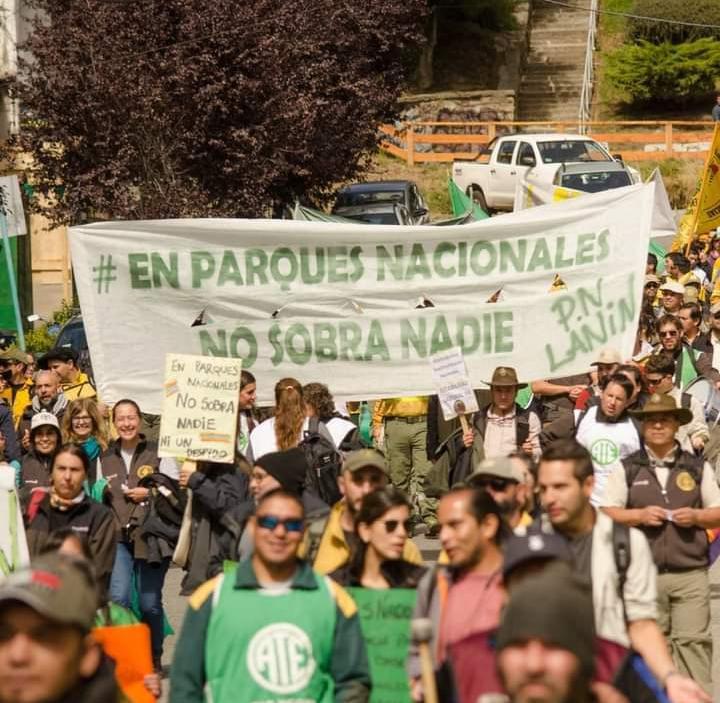 WhatsApp Image 2024-04-02 at 7.40.29 PM