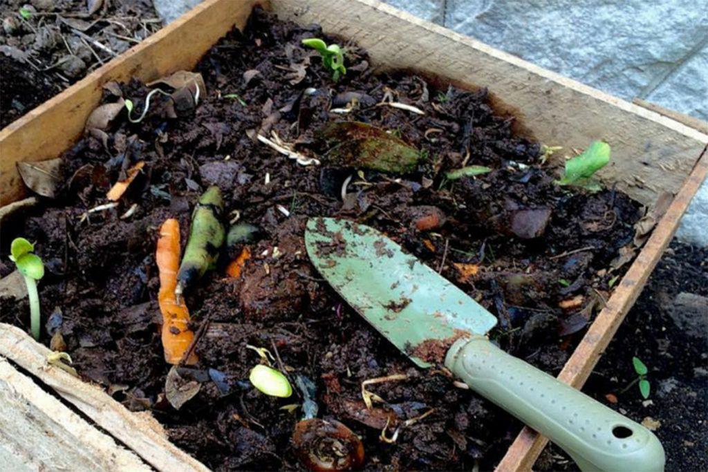 compost