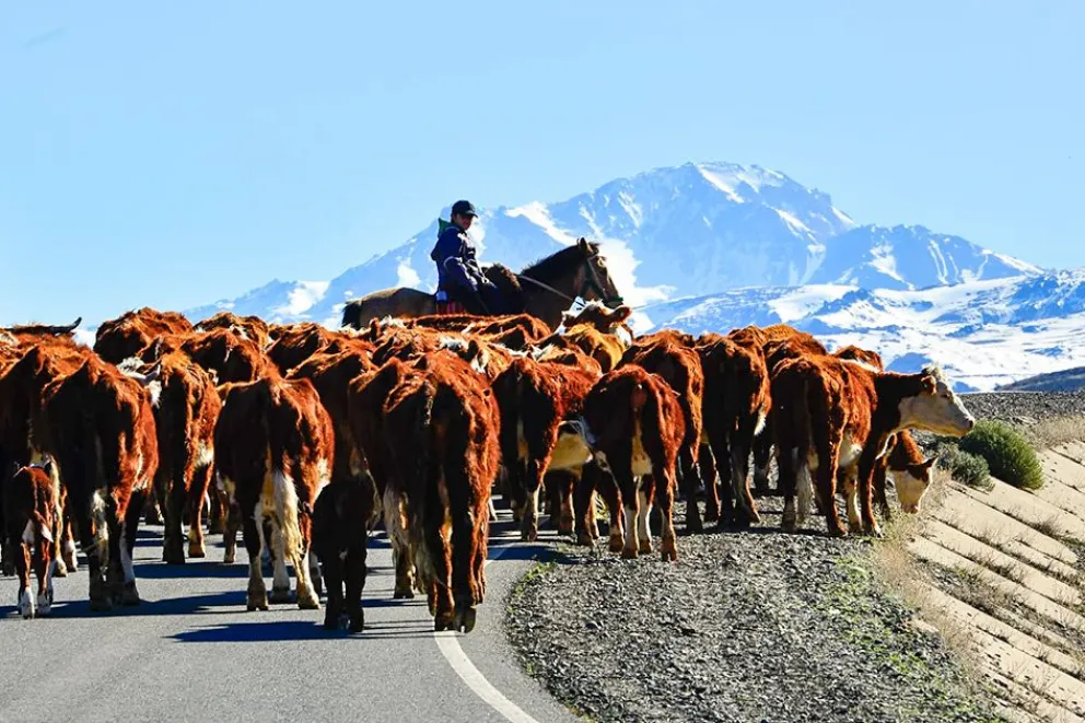 md - 2025-12-23T121252.862