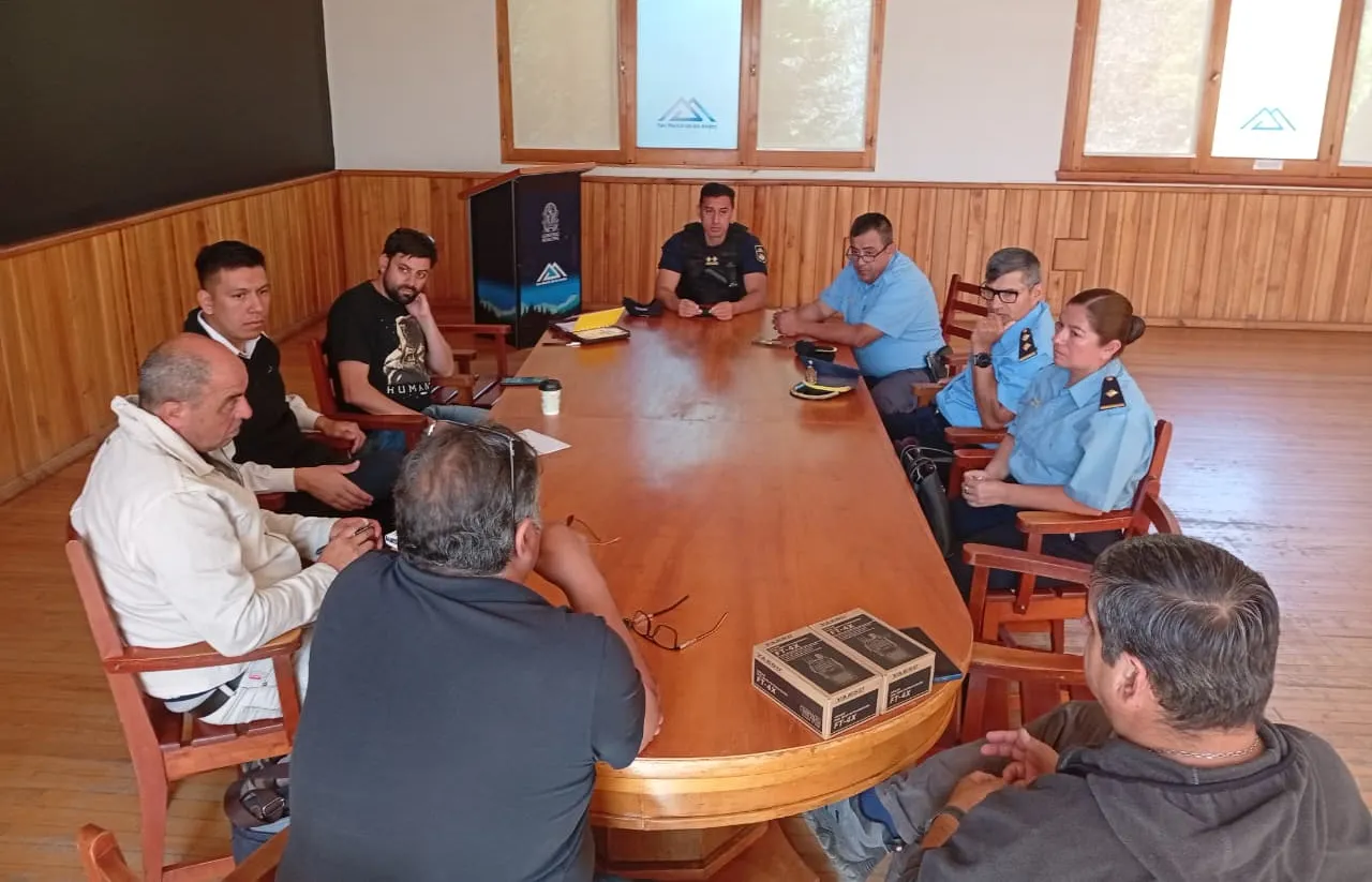 WhatsApp Image 2025-12-19 at 11.58.47