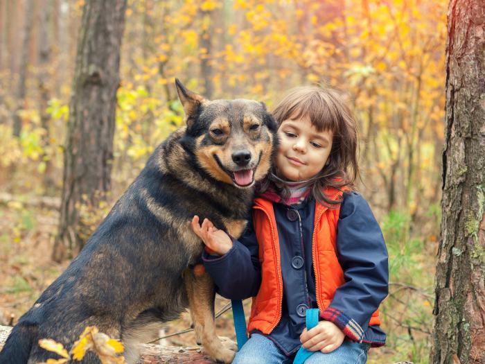 niño con perro