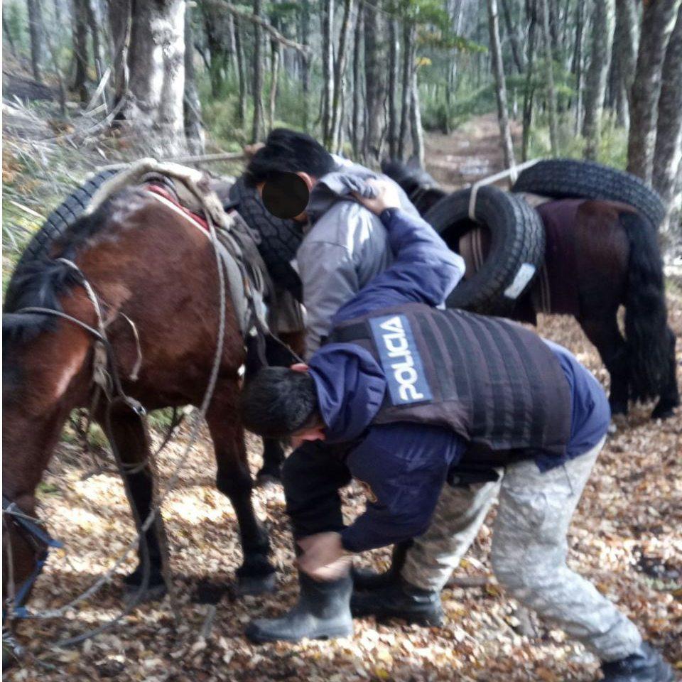 446872345_758163809829437_881091916170415893_n